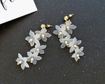 Trendy Earrings