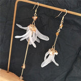 Trendy Earrings